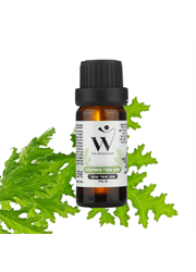 שמן אתרי טהור ציטרונלה