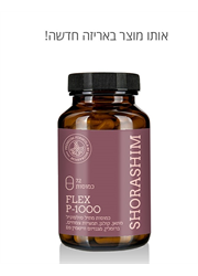 פלקס Flex P-1000