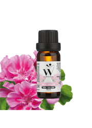 שמן אתרי טהור גרניום