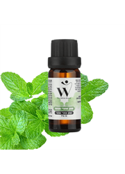 שמן אתרי טהור - מנטה