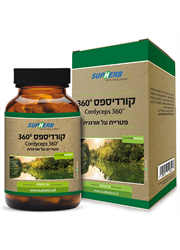 קורדיספס 360°