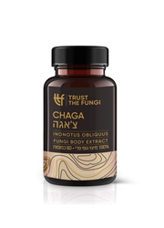 פטריית צ'אגה (Chaga) מיצוי 100% גופי פרי בשיטת FBE