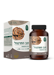 כמוסות פטריית זנב התרנגול Trametes versicolor PSK